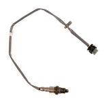 Focus 1.0 EcoBoost Exhaust Gas Oxygen Sensor 2018-Onwards