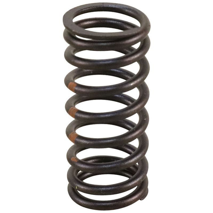 1.0 GTDI ECOBOOST & GTDI CYLINDER HEAD VALVE SPRING 2017-