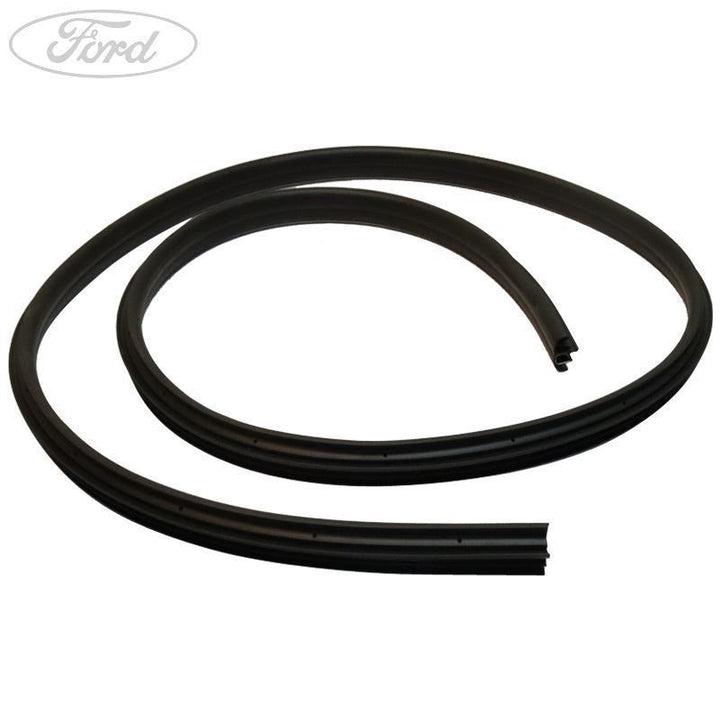 FIESTA N/S OUTER SIDE PANEL SEAL 2015-
