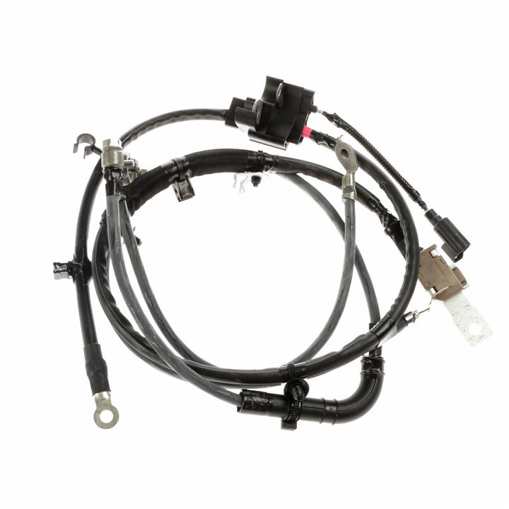 FOCUS BATTERY CABLE