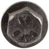 OIL PUMP SCREW