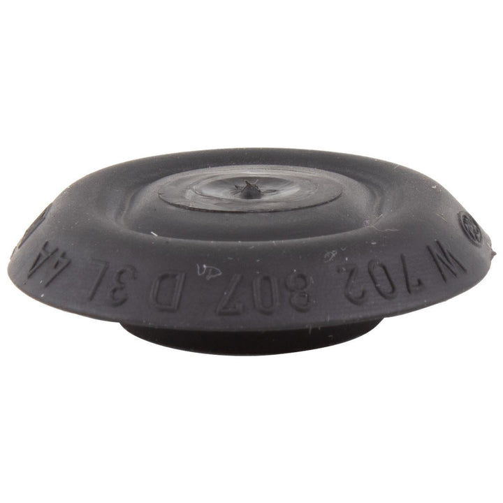 HOOD AND RELATED PARTS PLUG
