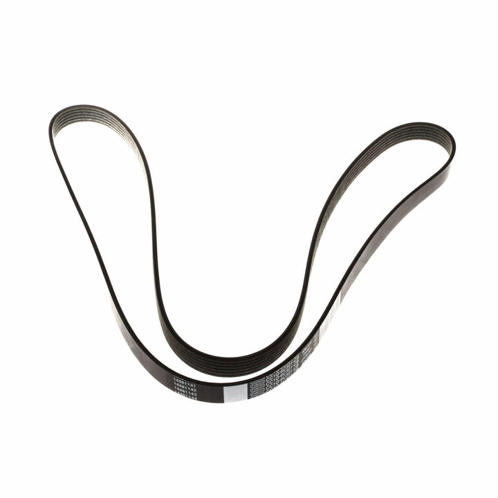 TRANSIT DRIVE V BELT