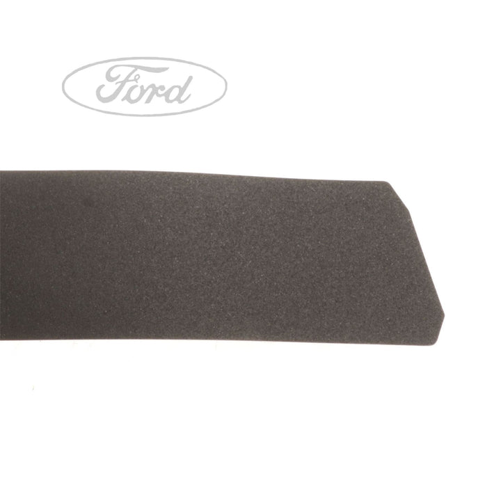 FIESTA N/S DOOR OUTSIDE BODY MOULDING