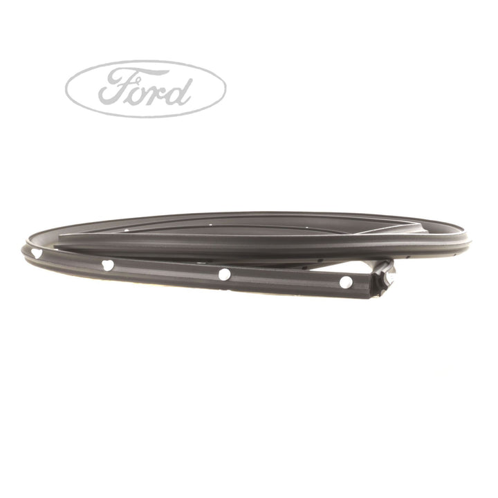 FOCUS FRONT DOOR OPENING WEATHERSTRIP
