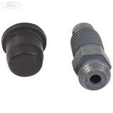 BRAKE CALIPER BLEED SCREW