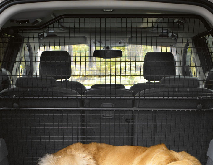 C-MAX LOAD RETENTION GUARD EXTENSION 04/2015, GRAND C-MAX.