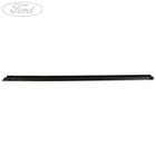 DOOR OUTSIDE BELT MOULDING