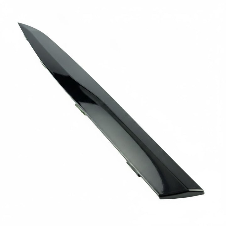 PUMA N/S REAR OUTER DOOR MOULDING 2020-ONWARDS