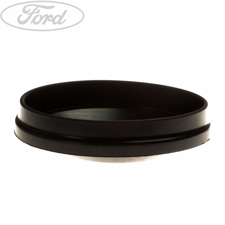 FIESTA HEADLAMPS COVER