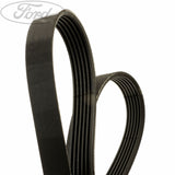 FOCUS FOCUS C-MAX MPV DRIVE V BELT