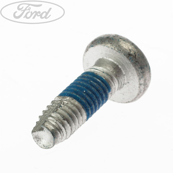 FRONT DOORS, HINGES & WEATHERSTRIPS SCREW PACK OF 5