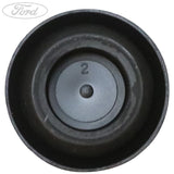 INSPECTION OPENING PLUG