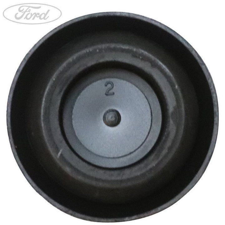 INSPECTION OPENING PLUG