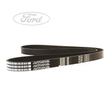 FOCUS FOCUS C-MAX MPV DRIVE V BELT