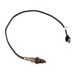 1.0 EcoBoost Post Cat Exhaust Gas Oxygen Sensor 2017-2023