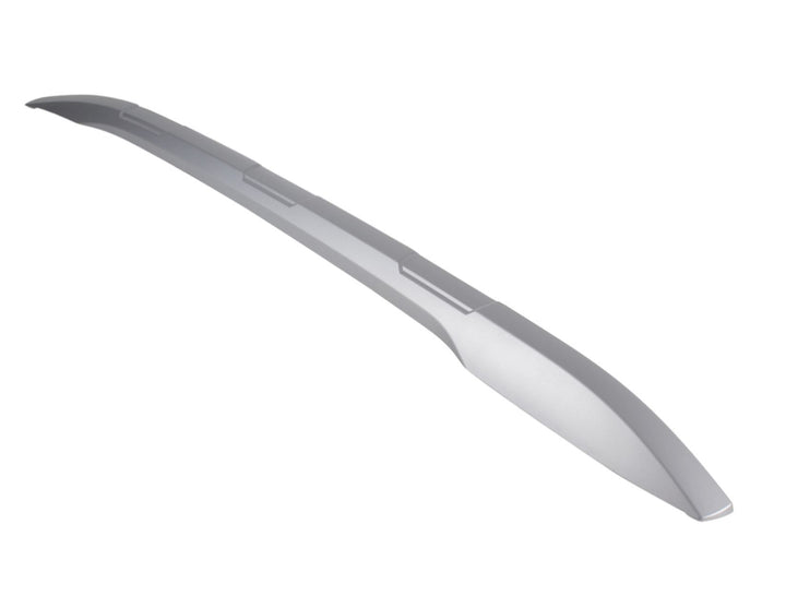 ECOSPORT ROOF RAIL CAP