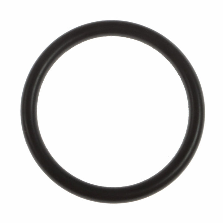 Powershift Auto Transmission Oil Pan O-Ring 2006-2023