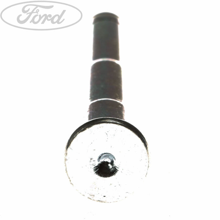 TRANSIT FRONT DOOR HINGE PIN