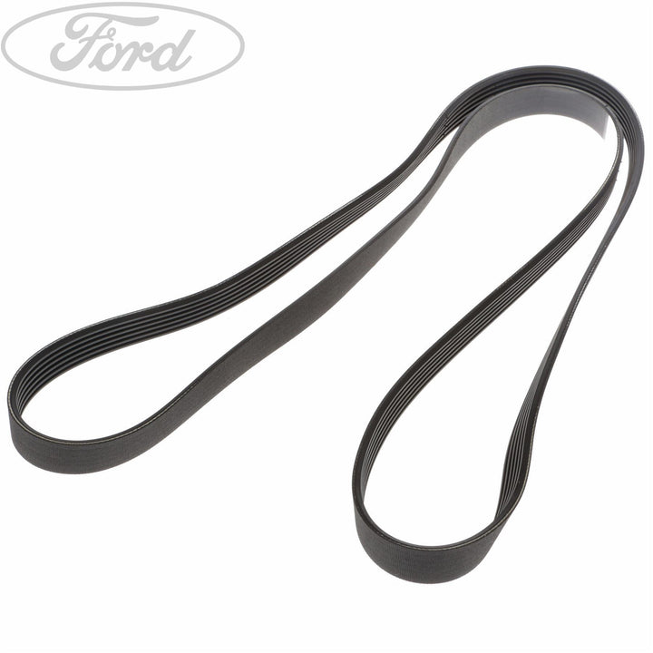 FOCUS DRIVE V BELT