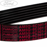 MONDEO FOCUS C-MAX DRIVE V BELT