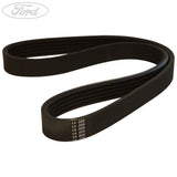 DRIVE BELT V