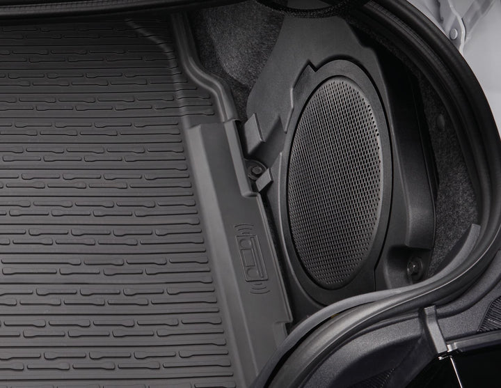 MUSTANG FROM 10/2023 BOOT LINER