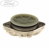 REAR DIFF FILTER