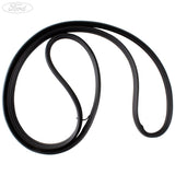KUGA REAR TAILGATE LUGGAGE COMPARTMENT DOOR APERTURE WEATHERSTRIP SEAL 2008-2012