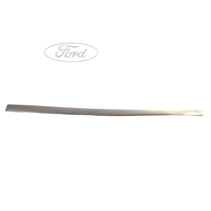 FUSION N/S DOOR OUTSIDE BODY MOULDING