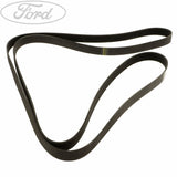 TRANSIT DRIVE V BELT