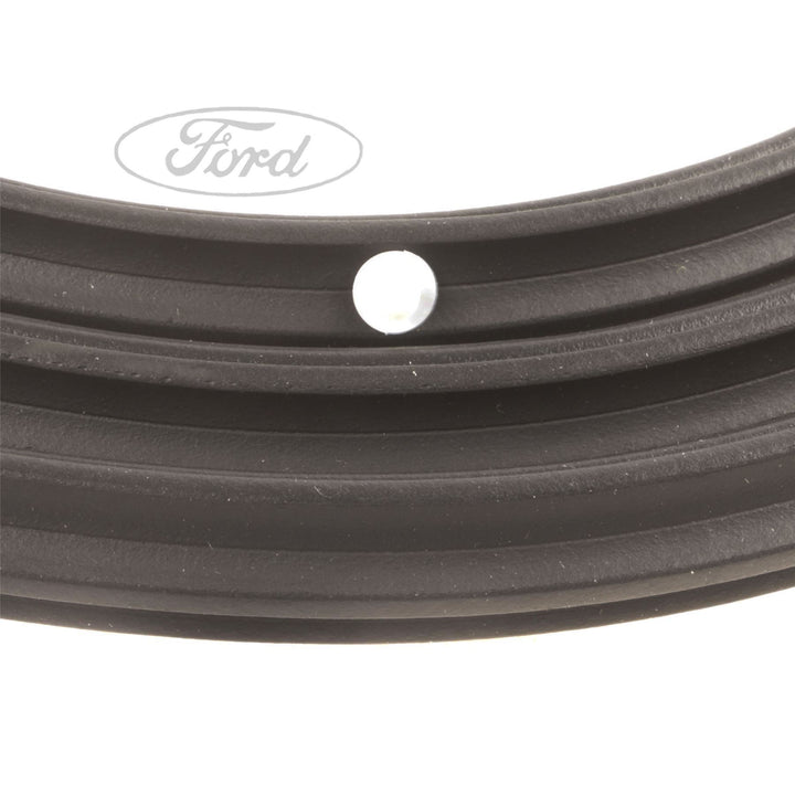 FOCUS FRONT DOOR OPENING WEATHERSTRIP