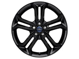 FOCUS 19