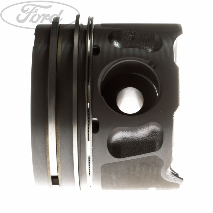 ENGINE PISTON & RING SET