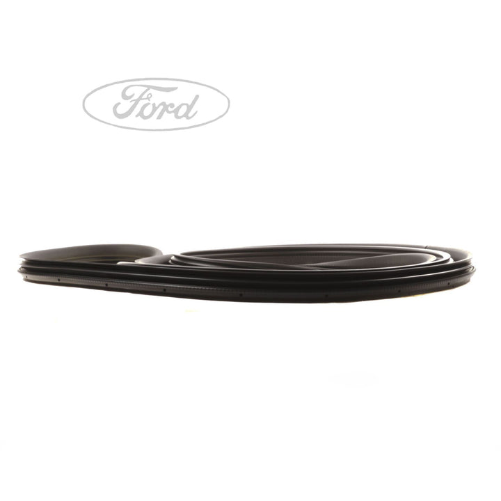 BODY SEALS