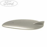 FUEL TANK FILLER ACCESS DOOR FLAP