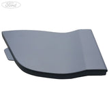 FUEL TANK FILLER ACCESS DOOR