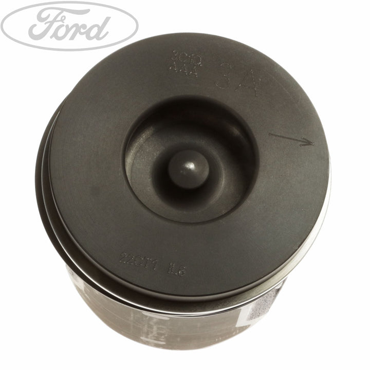 ENGINE PISTON PIN & RING SET