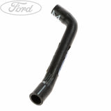 RADIATOR HOSES