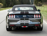 MUSTANG RACING STRIPES WITH FITTING  12/2017