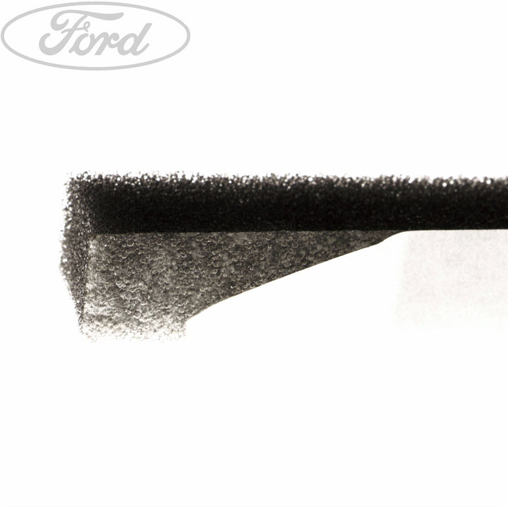 RADIATOR ENERGY ABSORBING FOAM PAD