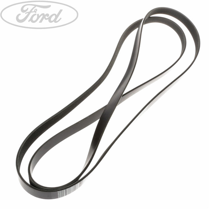 TRANSIT MOTORCRAFT DRIVE V BELT