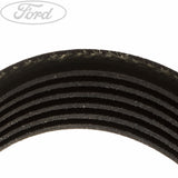C-MAX FOCUS DRIVE V BELT