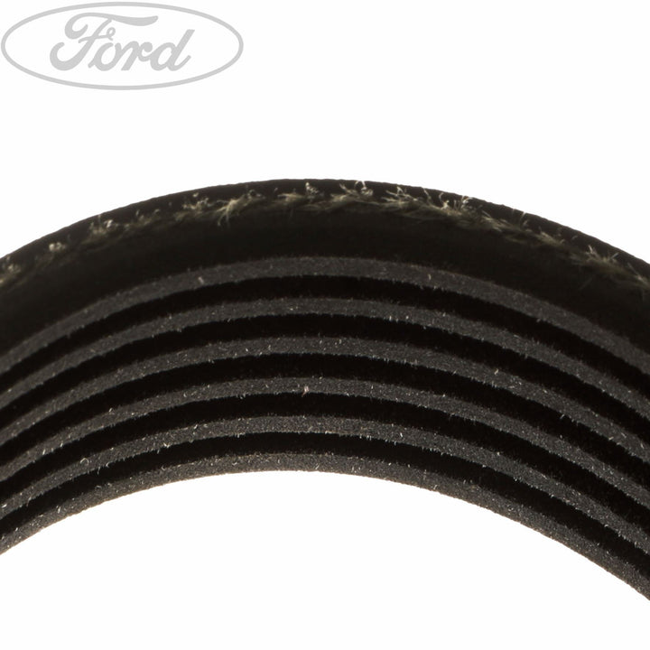 C-MAX FOCUS DRIVE V BELT