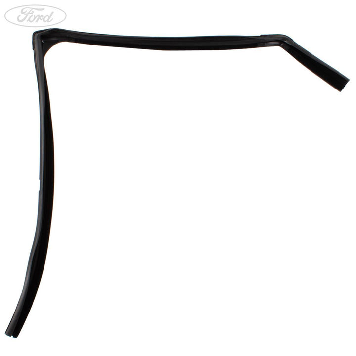 ECOSPORT REAR N/S DOOR WINDOW WEATHERSTRIP SEAL 2013-2016