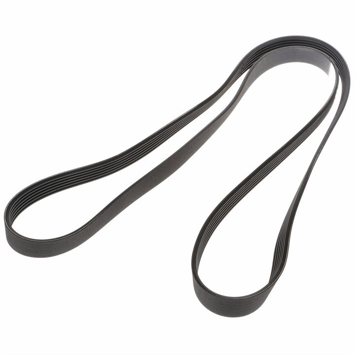 FOCUS DRIVE V BELT