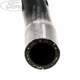 RADIATOR HOSES