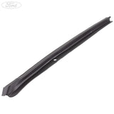 REAR DOOR MOULDING