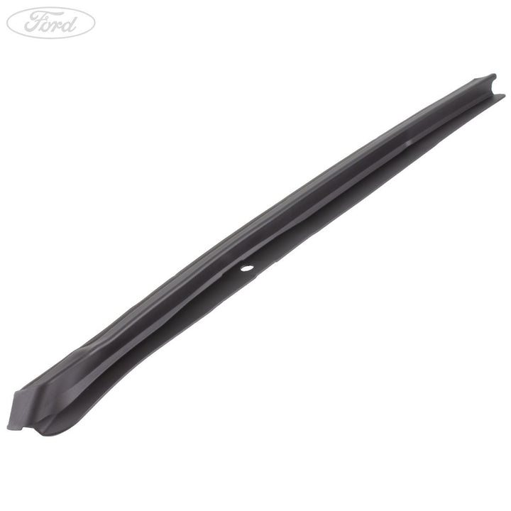 REAR DOOR MOULDING