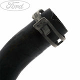 RADIATOR HOSES